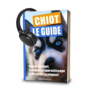 formation education chiot podcast accueil