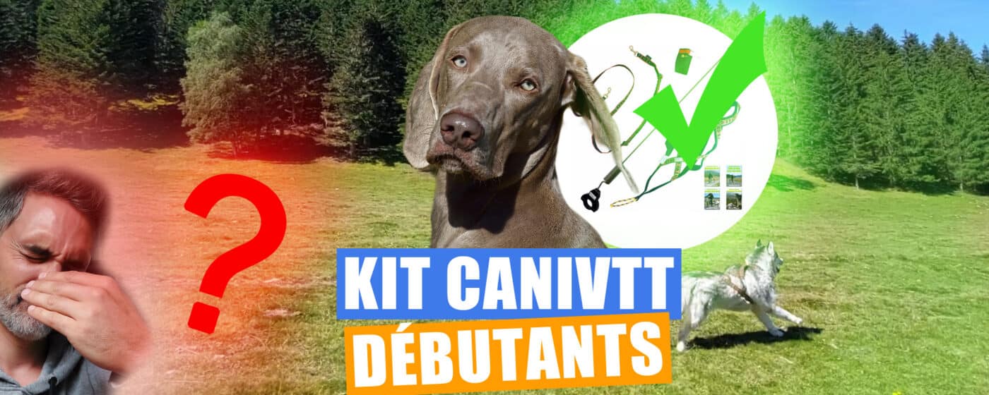 Comment choisir le bon Kit Cani VTT pour débutants