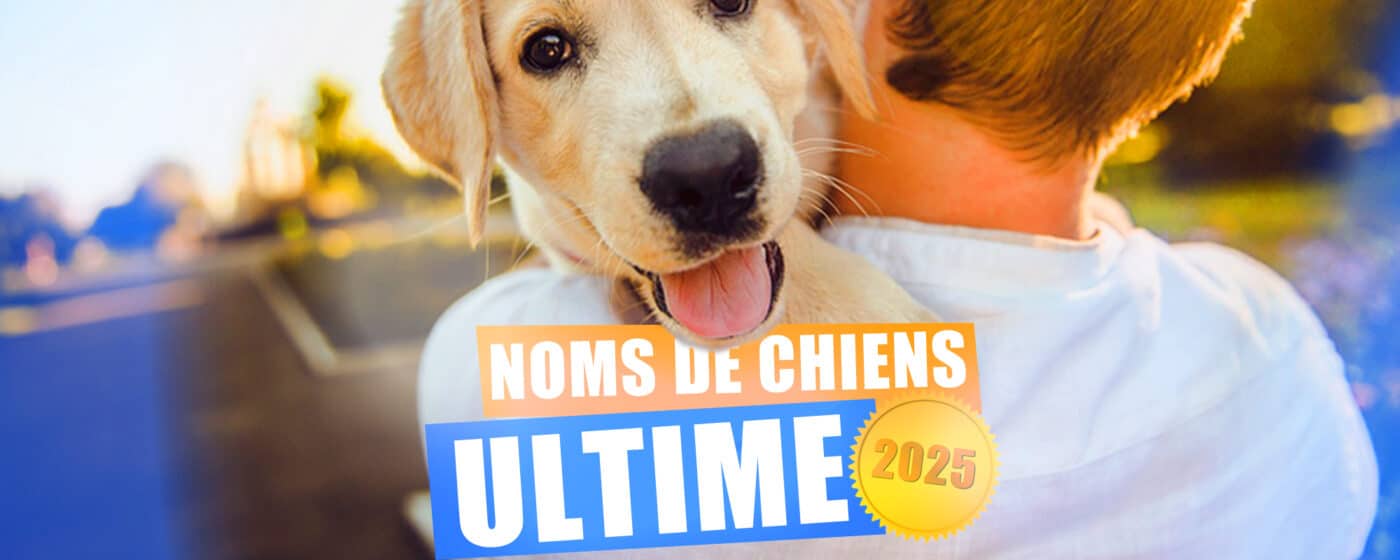 2025 nom de chien meilleur compilation