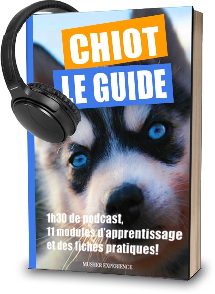 book le chiot podcast education accueil