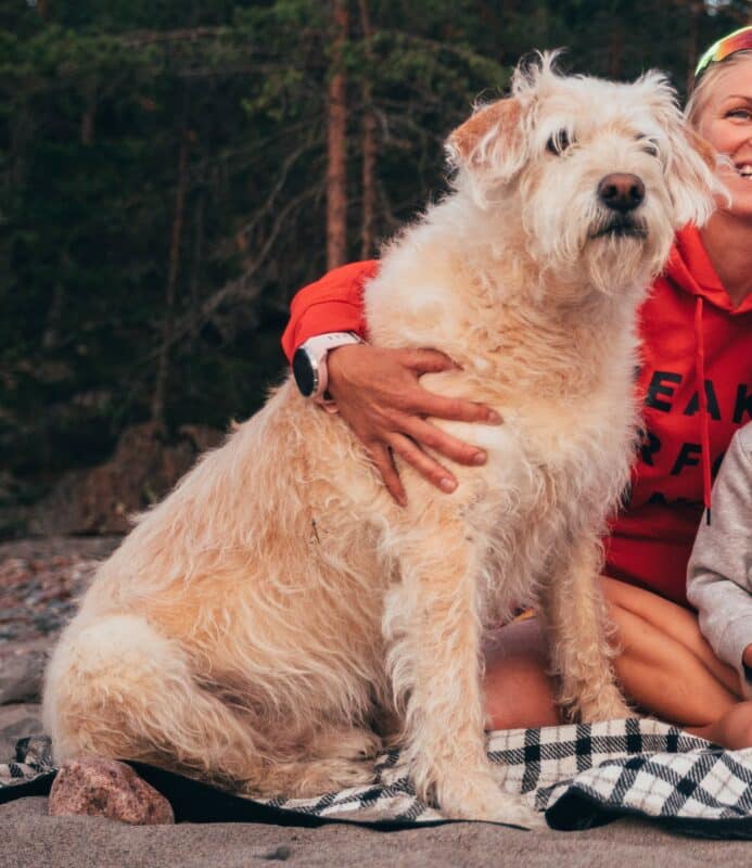 Ce chien célèbre s'appelle Arthur