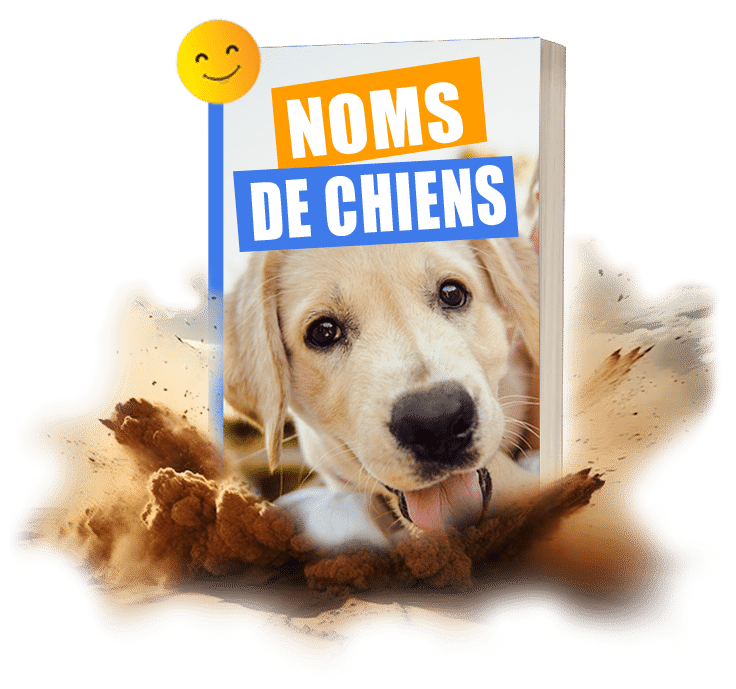 compilation nom chien 2025 a