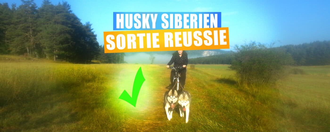 husky a velo conseils astuces sortie reussie