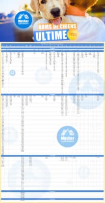 infographie 2025 nom chien lettre A